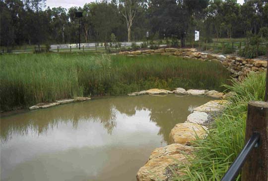 A Reed Bed Filter System at Liverpool Sydney